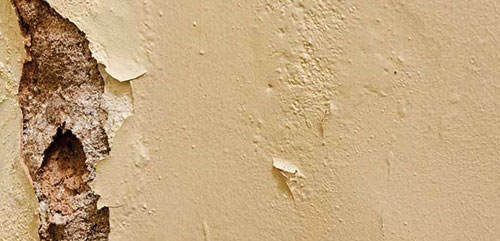 Traitement de l'humidité des murs à Toulouse